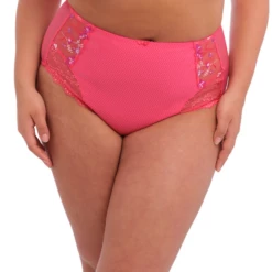 Charley Hoher Slip -Unterwäsche Verkäufe 2024 charley hoge slip 1 el4388hoe