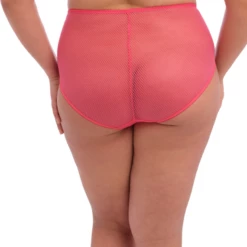 Charley Hoher Slip -Unterwäsche Verkäufe 2024 charley hoge slip 3 el4388hoe