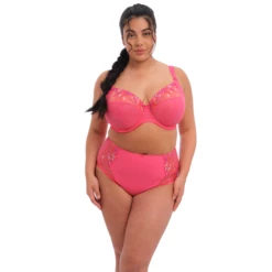 Charley Hoher Slip -Unterwäsche Verkäufe 2024 charley hoge slip 4 el4388hoe