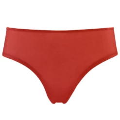 Dame De Paris Brazilian Slip