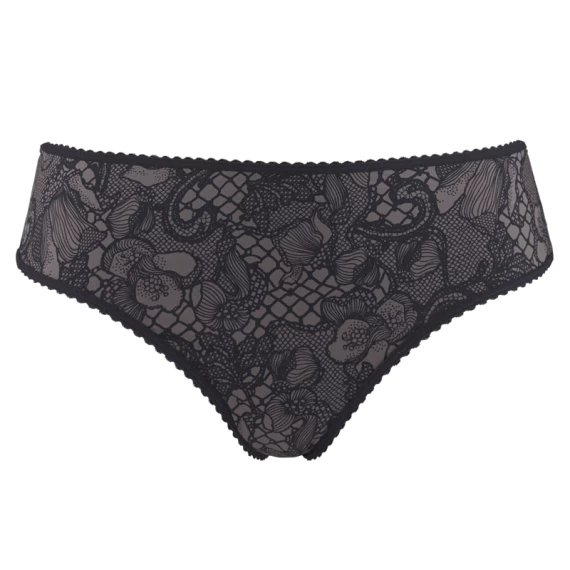 Lioness Of Brittany Slip 3 Lioness Of Brittany Slip