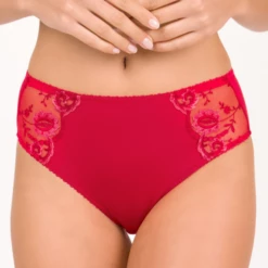 Provence Taillenslip -Unterwäsche Verkäufe 2024 provencetailleslip1 81305tangored