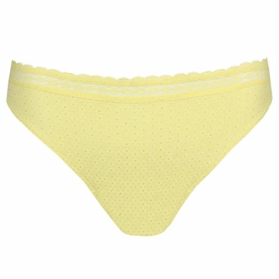 Sapri String 3 Sapri String