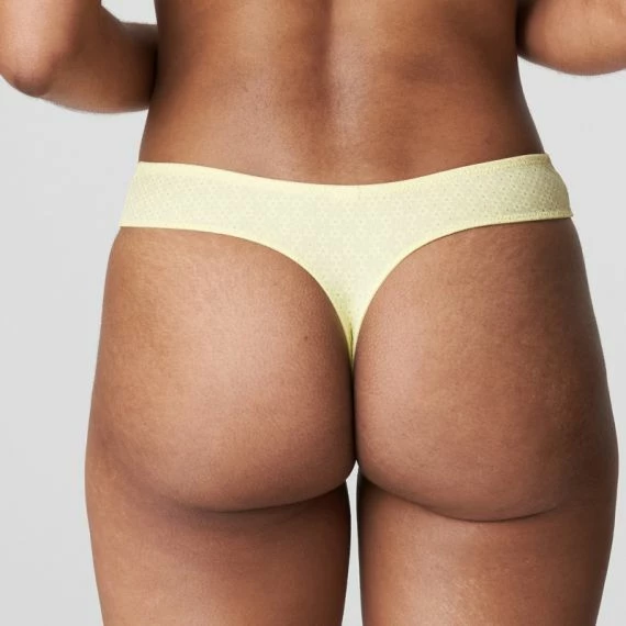 Sapri String 6 Sapri String – Bild 4